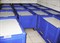 Гнет 1120х670х10 мм для BoxPallet тип 800 (Гнёт 800) - фото 43673